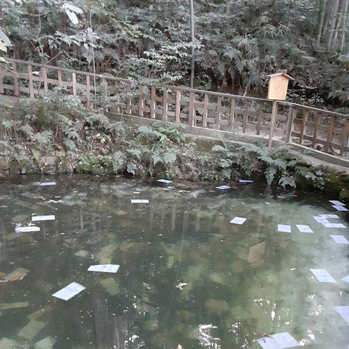 八重垣神社 鏡の池 | Flickr
