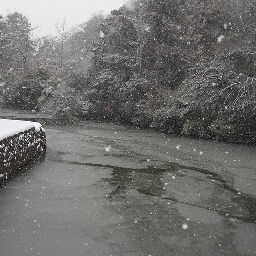 松江城 お堀の水も凍る | Flickr