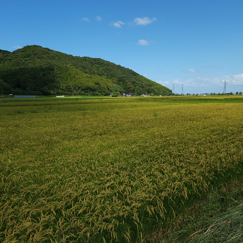 意宇平野と茶臼山 | Flickr