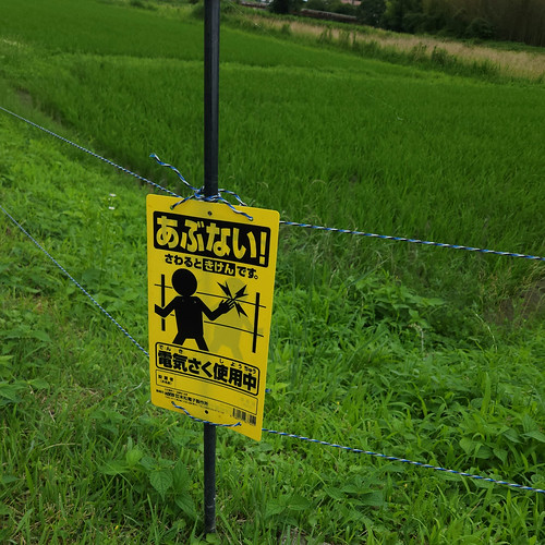 田んぼに電気柵 | Flickr
