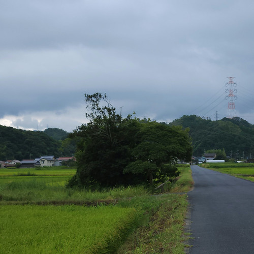 意宇の杜〈天平路（客の森）〉 | Flickr