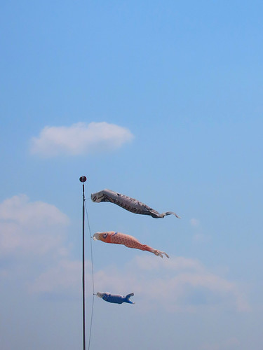 鯉のぼり（道の駅本庄） | Flickr