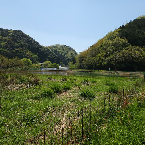 カラフルな緑 | Flickr