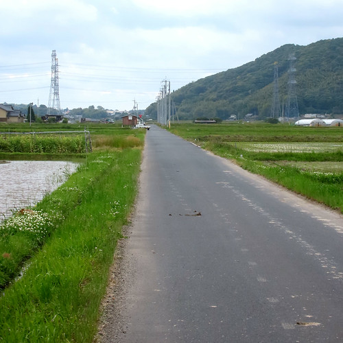 一本道（意宇平野） | Flickr
