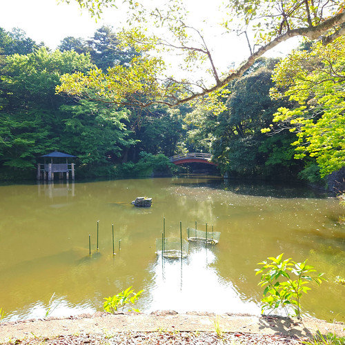 楽山公園 | Flickr