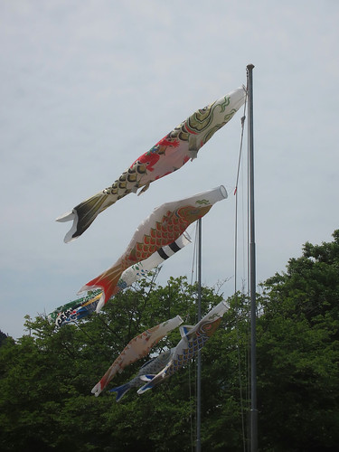 月遅れの端午の節句（熊野大社） | Flickr