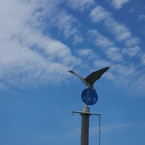 意東海岸 | Flickr