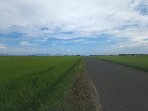 田んぼ道 | Flickr