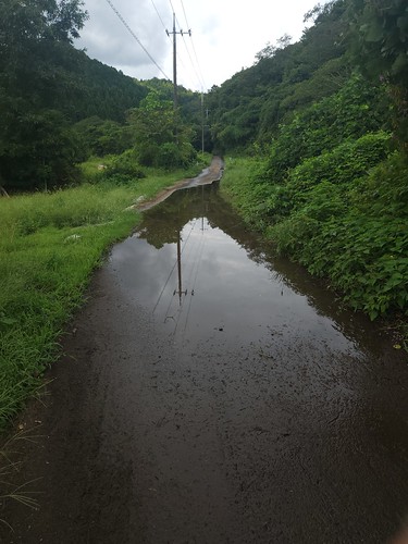大雨で水没中 | Flickr
