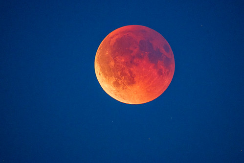 Blood Moon | 2025-09-07 20:45, Amager Strandpark, Copenhagen… | Stig Nygaard | Flickr (CC-BY)