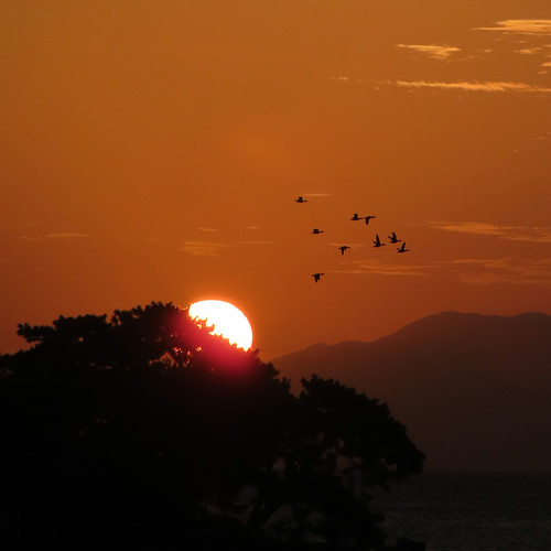 嫁ヶ島と夕日 | Flickr