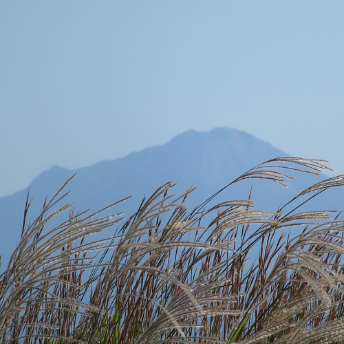 ススキと大山 | Flickr