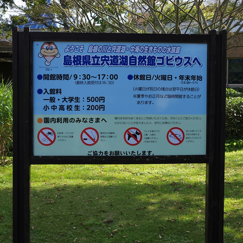 ゴビウス到着 | Flickr