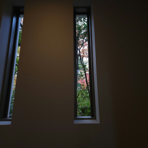 紅葉狩り（足立美術館 庭園） | Flickr