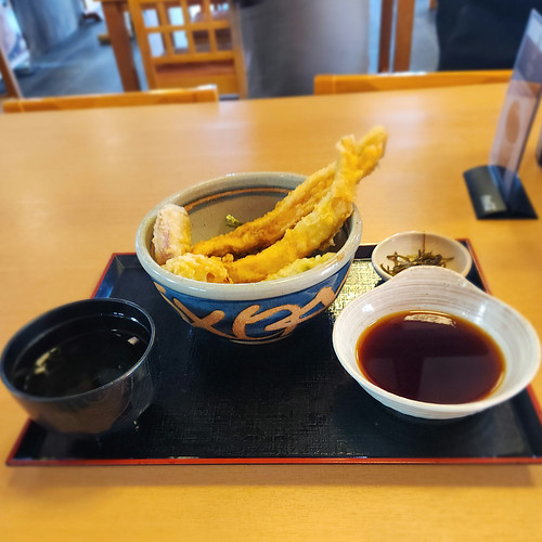 アナゴ天丼（安来節演芸館） | Flickr