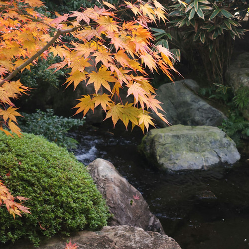 紅葉狩り（足立美術館 庭園） | Flickr