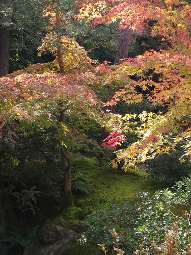 紅葉狩り（足立美術館 庭園） | Flickr