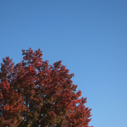 天高く... | Flickr