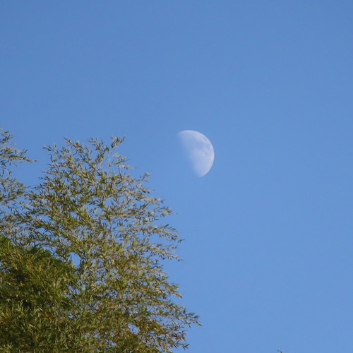 とうかんや（旧暦十月十日）の月 | Flickr