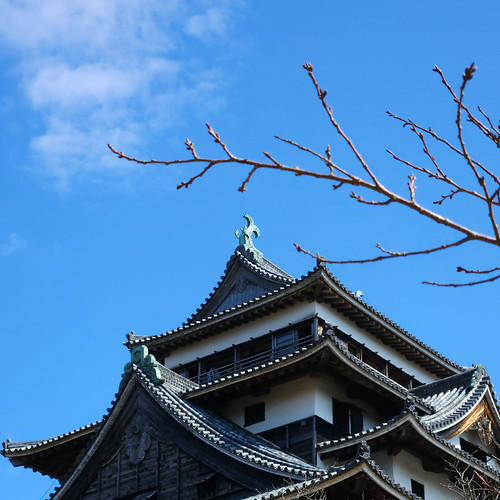 松江城天守閣と桜の蕾 | Flickr