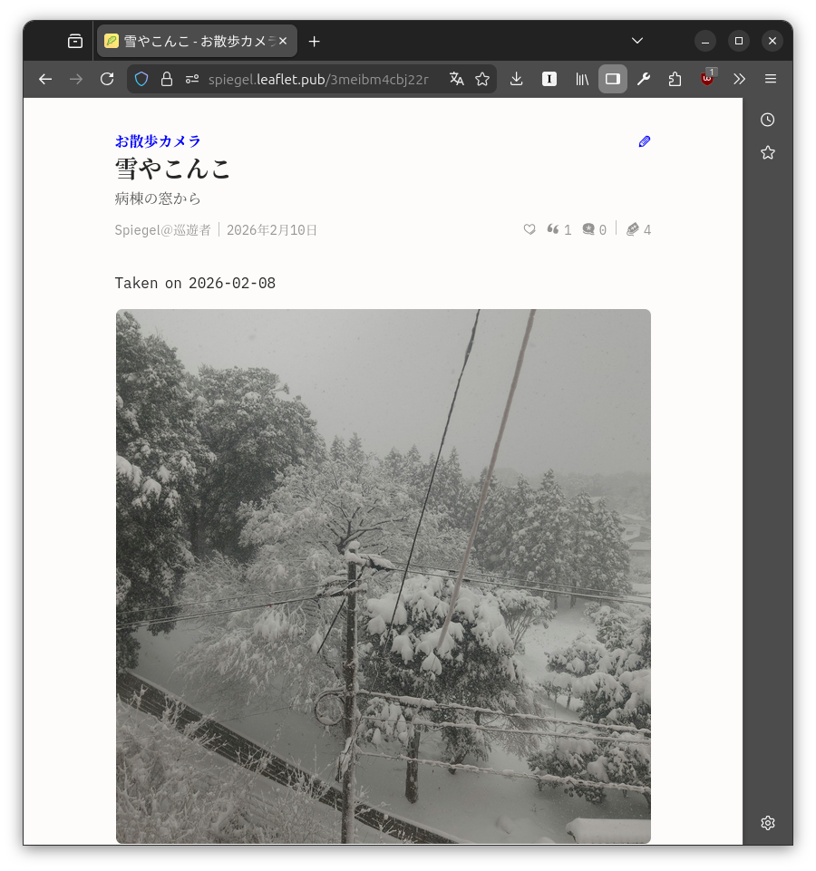 雪やこんこ - お散歩カメラ
