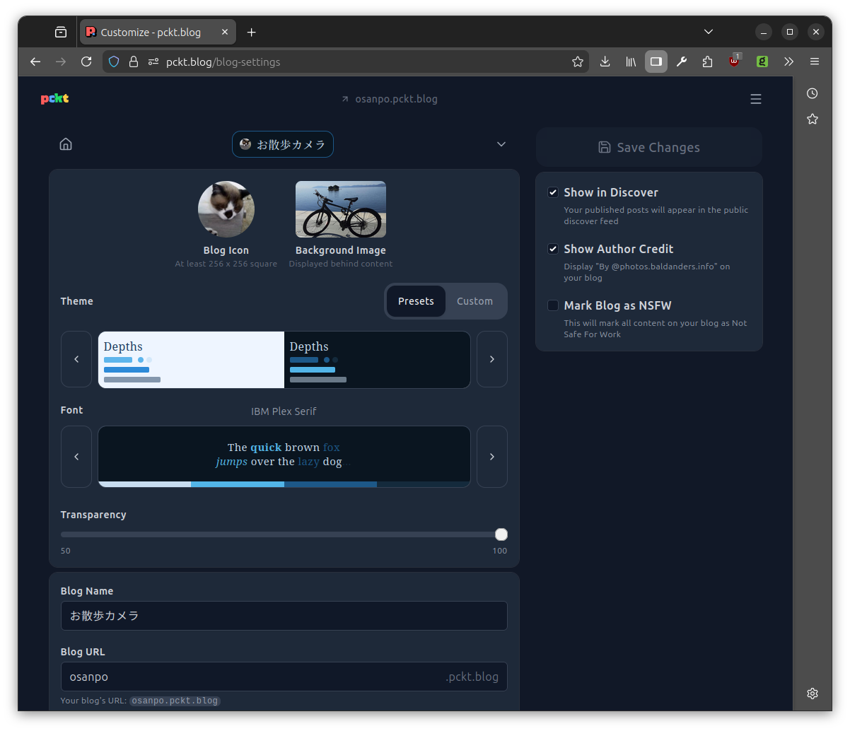 Customize - pckt.blog