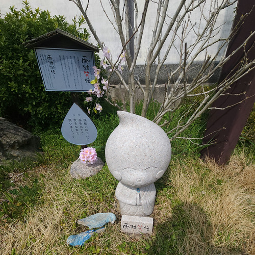 雨粒笑伝（雨粒御伝） | Flickr