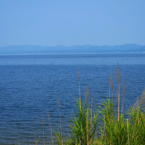 今日の宍道湖(玉湯川河口) | Flickr