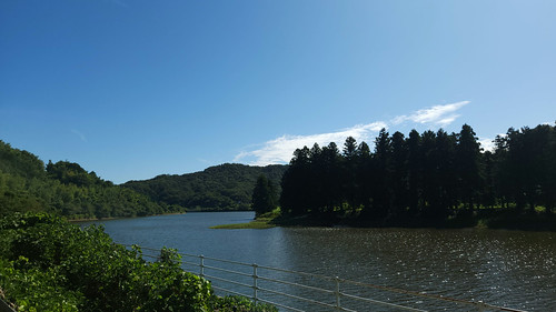 忌部川から千本ダムへ | Flickr